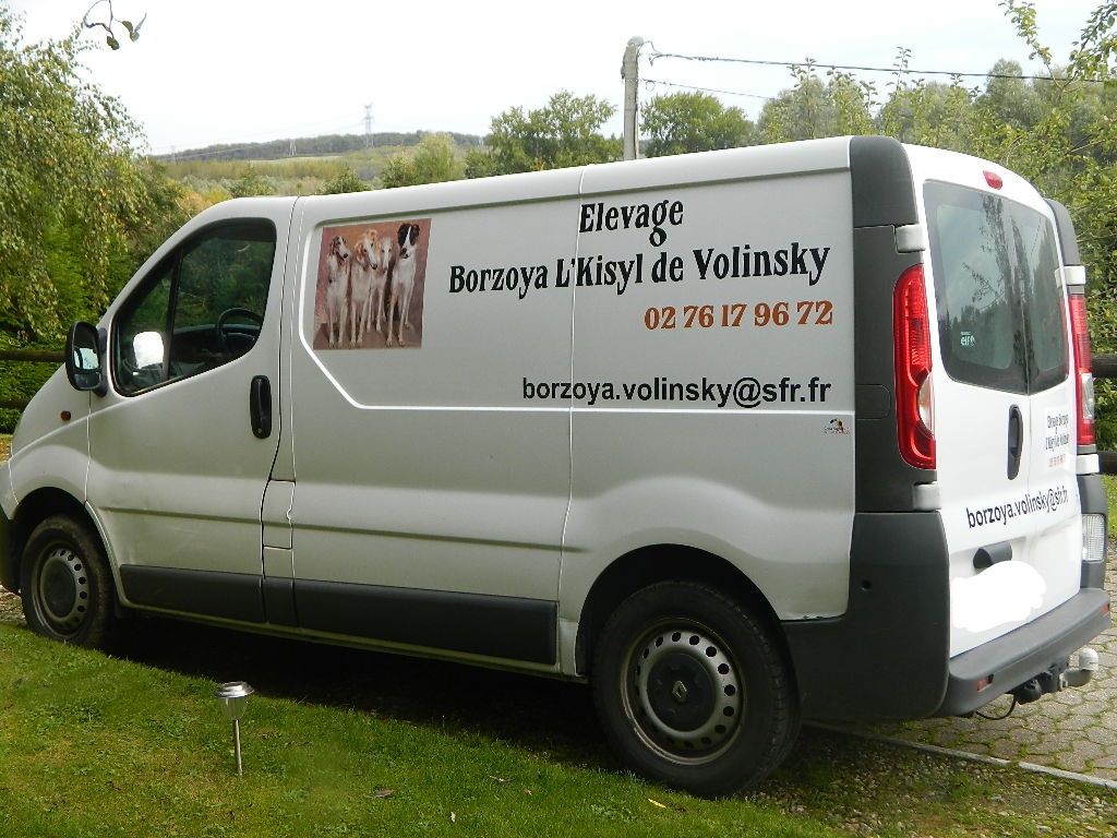 Borzoya  L'Kysil De Volinsky - Le camion des zois enfin prêt 