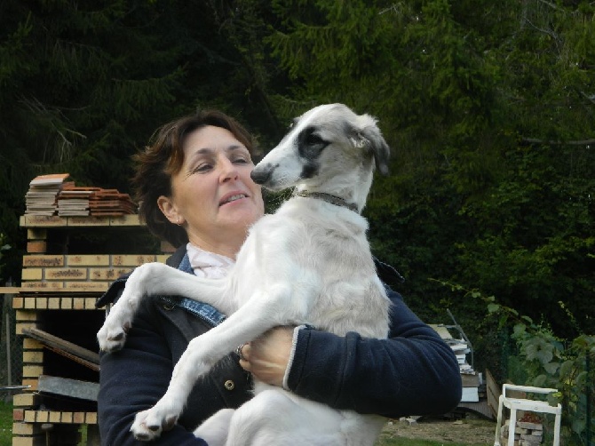 Borzoya L'Kysil De Volinsky - miloslava du côté de la sologne